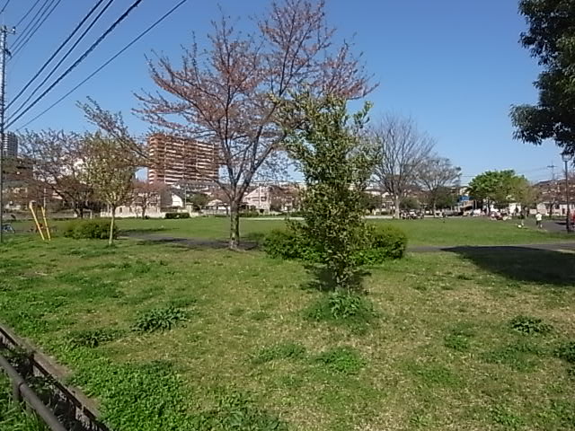 Other. Neighborhood park