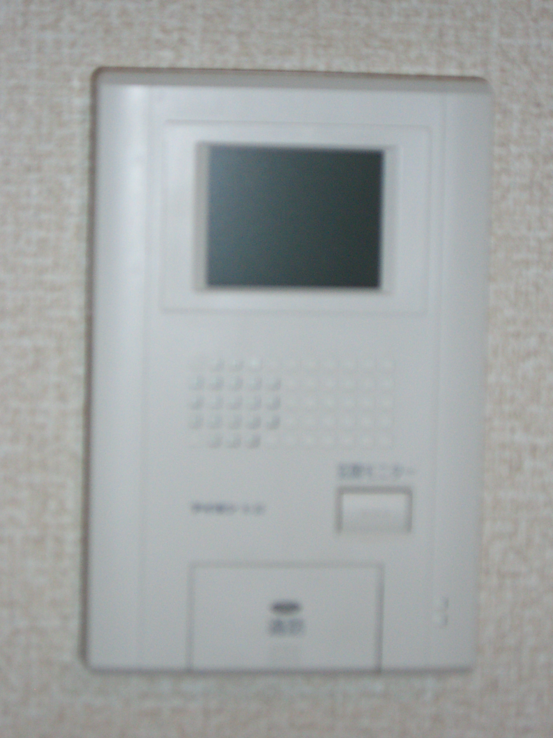 Security. Interphone with a monitor