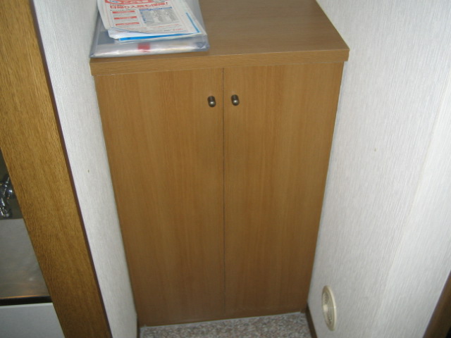 Entrance. Shoe boxes