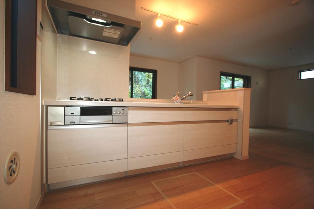 Kitchen. Local (12 May 2013) Shooting