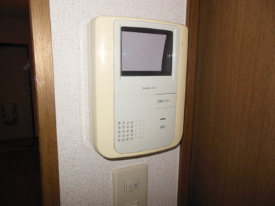 Security. It is a popular monitor with intercom