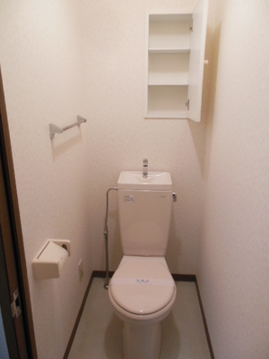 Toilet. Is functionally the toilet with a shelf