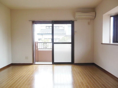 Living and room. Bright Western-style