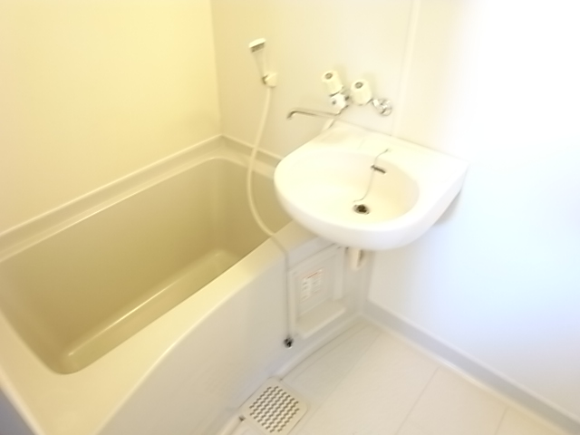 Bath. Western style room