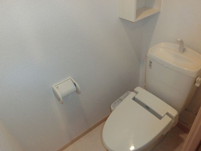 Toilet. Beautiful toilet with cleanliness