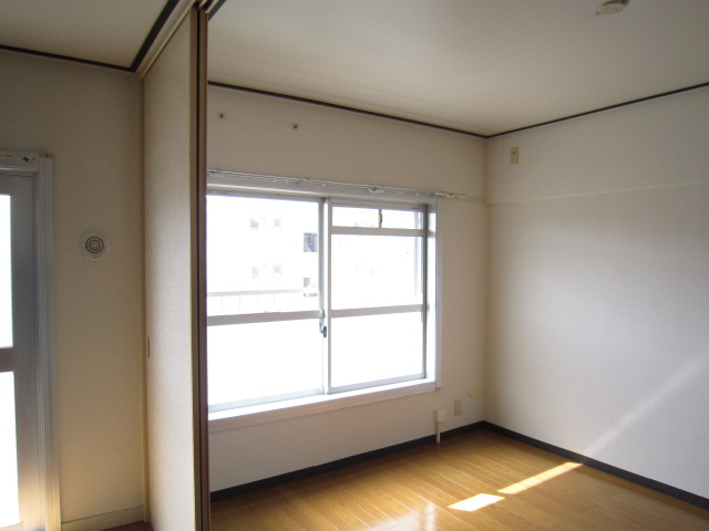 Living and room. Sunny bright living