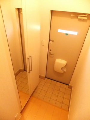 Entrance. Grooming pat because there is a full-length mirror in the shoe cupboard