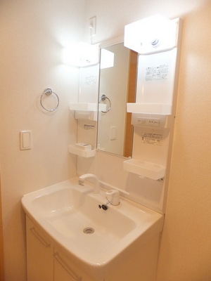 Washroom. Shampoo dresser