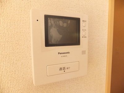 Security. TV monitor phone of peace of mind