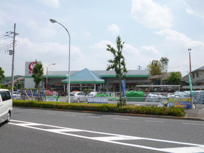 Shopping centre. Komeri Co., Ltd. until the (shopping center) 1100m