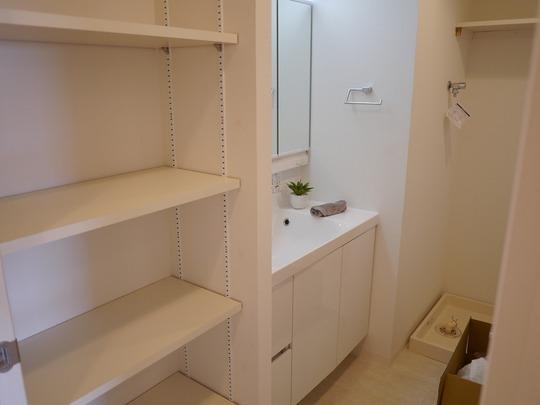 Wash basin, toilet