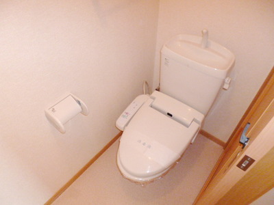 Toilet. Warm water washing toilet seat of the peace of mind