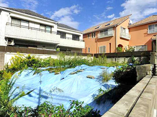 Local land photo. appearance