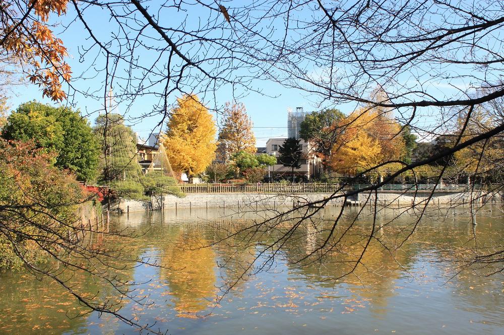 Other. Himonya park Strolling Sport There is also a little zoo.