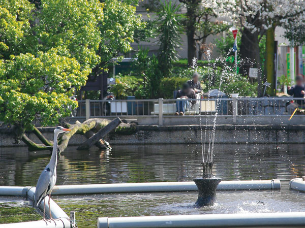 Surrounding environment. Shimizu pond park (14 mins ・ About 1090m)