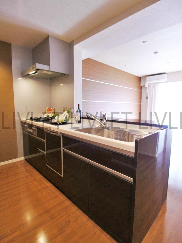 Kitchen. Indoor (10 May 2013) Shooting