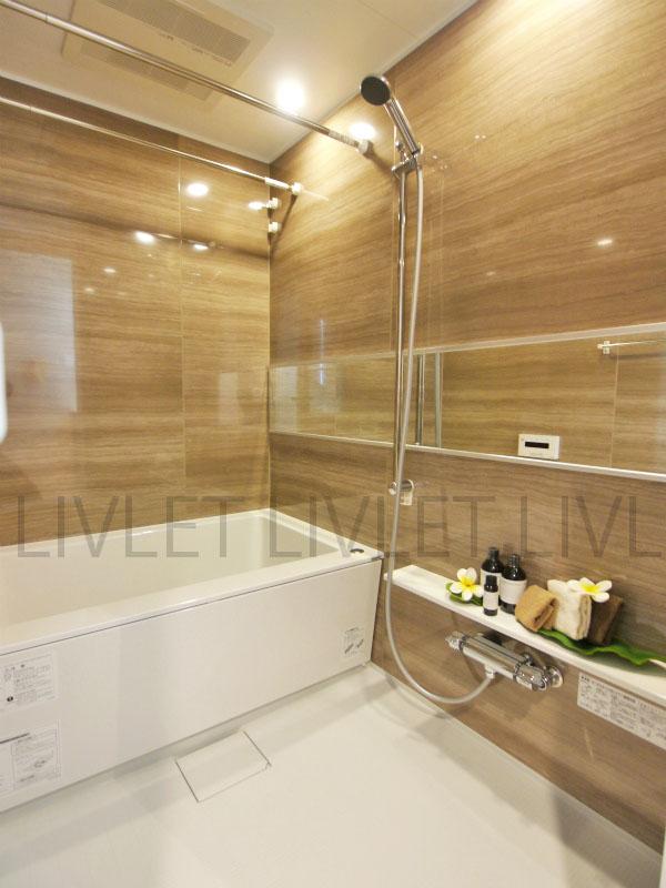 Bathroom. Indoor (10 May 2013) Shooting