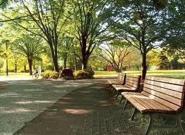 park. 700m to Setagaya park