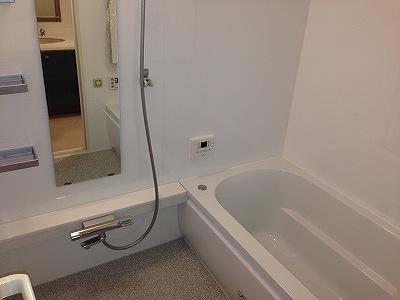 Bathroom. Indoor (with mist sauna! )