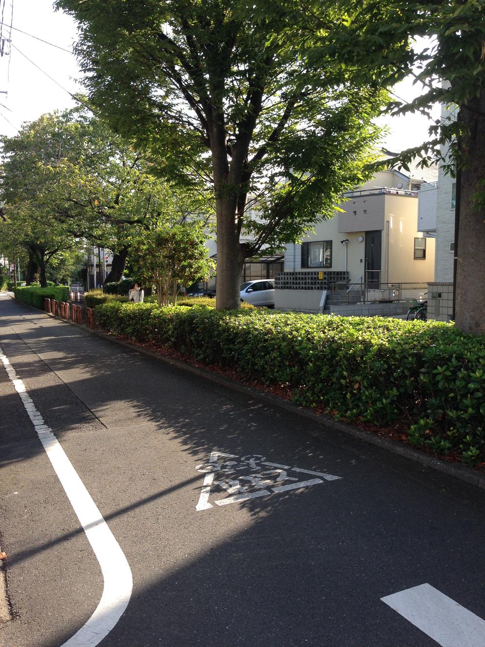Local photos, including front road. 呑川 is the side of the green road!
