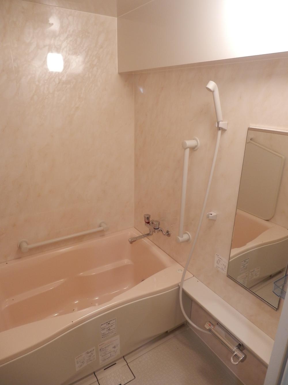 Bathroom. Add-fired with function (2010 exchange)