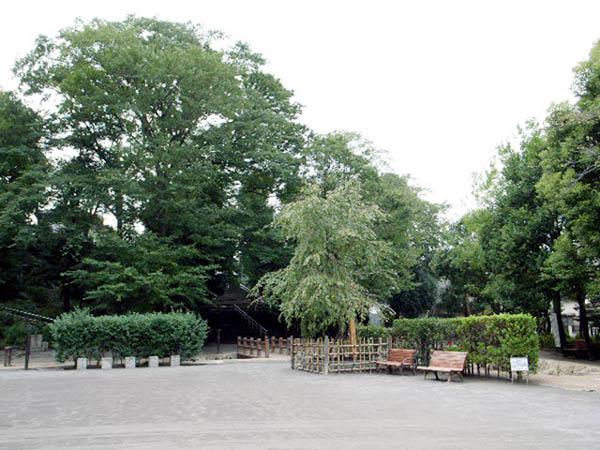 park. 642m to Nakane park