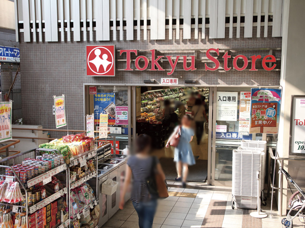 Surrounding environment. Gakugeidaigaku Tokyu Store Chain (Gakugei University Station)