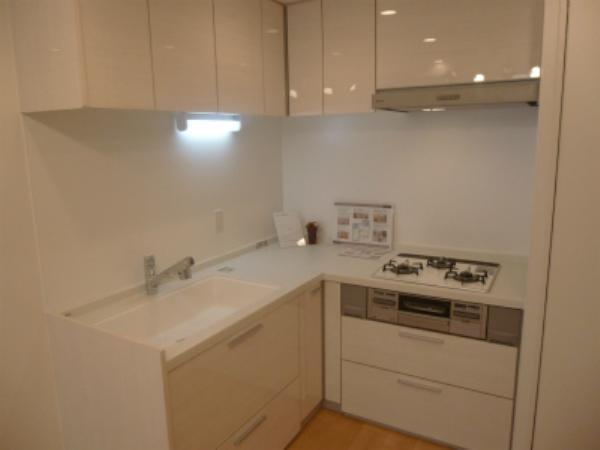 Kitchen. System kitchen
