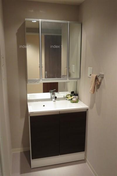 Wash basin, toilet. Vanity with shower