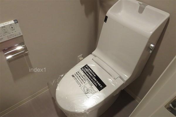 Toilet. Toilet with a bidet