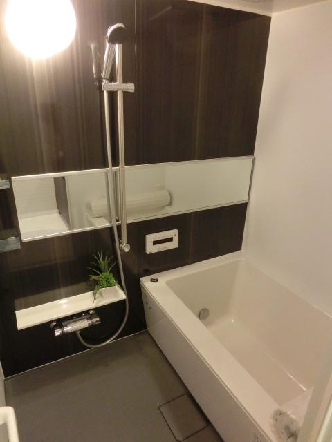 Bathroom. Indoor (12 May 2013) Shooting