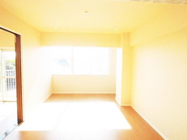 Living. Bright room.