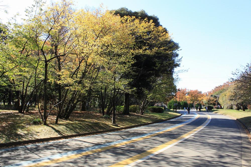 Other. Neighborhood "Komazawa Park"