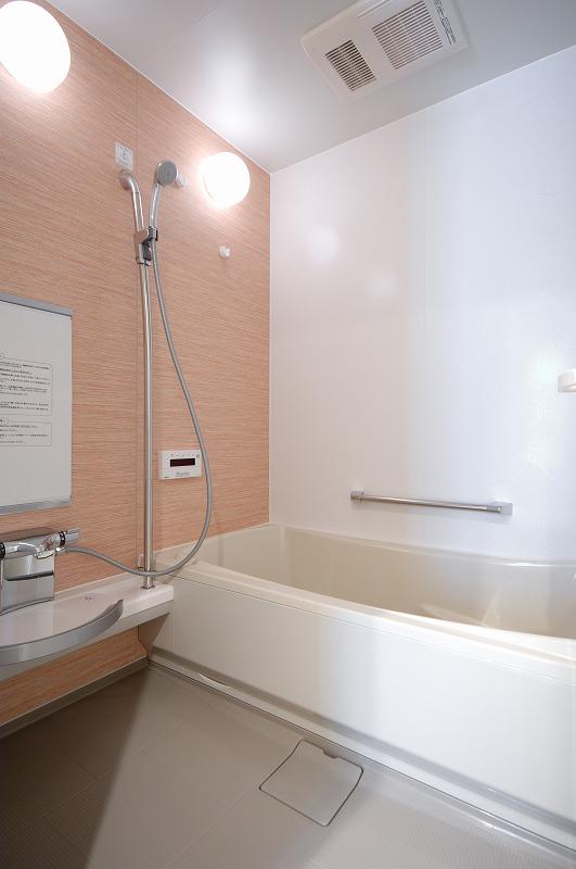Bathroom. Room (after the 2011 renovation) shooting