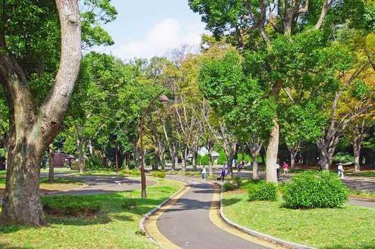Other. Komazawa Park ・  ・  ・ About 250 meters