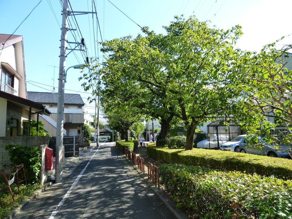 Streets around. 20m of cherry tree tunnel until the green road is a masterpiece. 