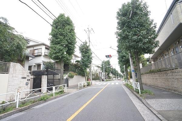 Local photos, including front road