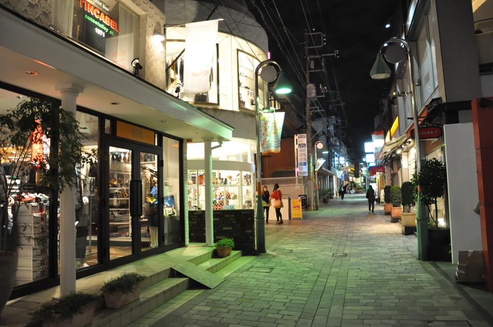 Other. Jiyugaoka shopping, Night is beautiful shops of light up.