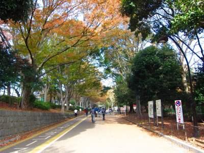 Other. Komazawa Park south entrance
