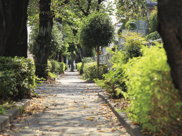 Surrounding environment. 呑川 Komazawa tributary green road (1-minute walk / About 50m)