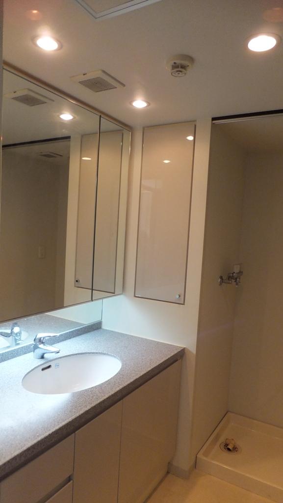 Wash basin, toilet. Indoor (11 May 2013) Shooting
