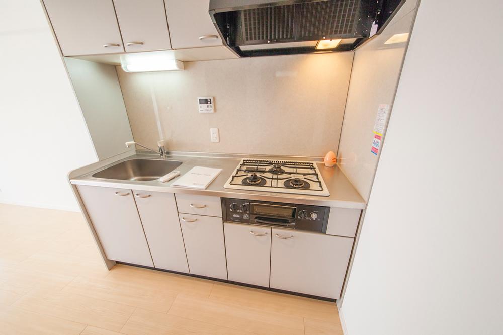 Kitchen. Indoor (July 2013) Shooting