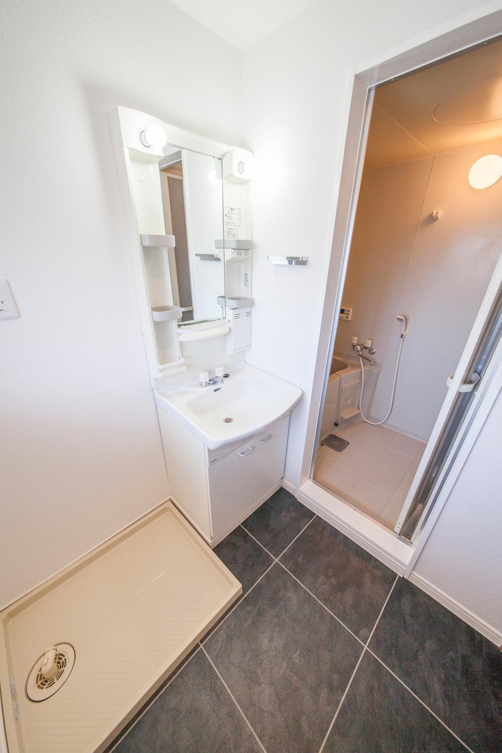 Wash basin, toilet. Indoor (July 2013) Shooting