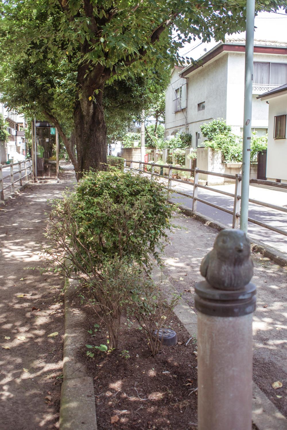 Other. Green road (6 minutes 450m)