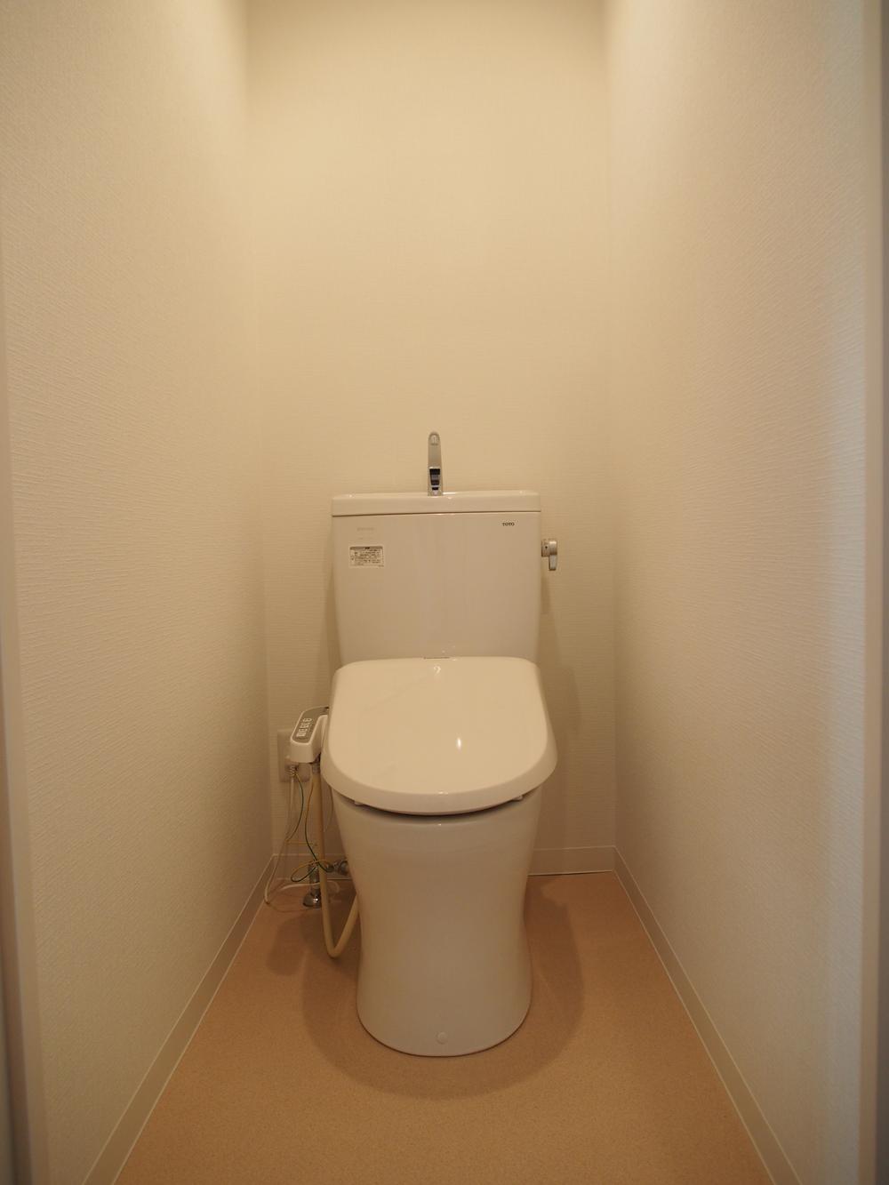 Toilet. Shower toilet
