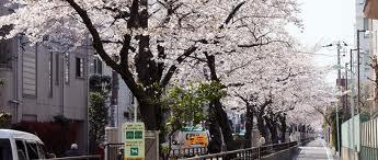 park. Tachiaigawa 761m until the green road