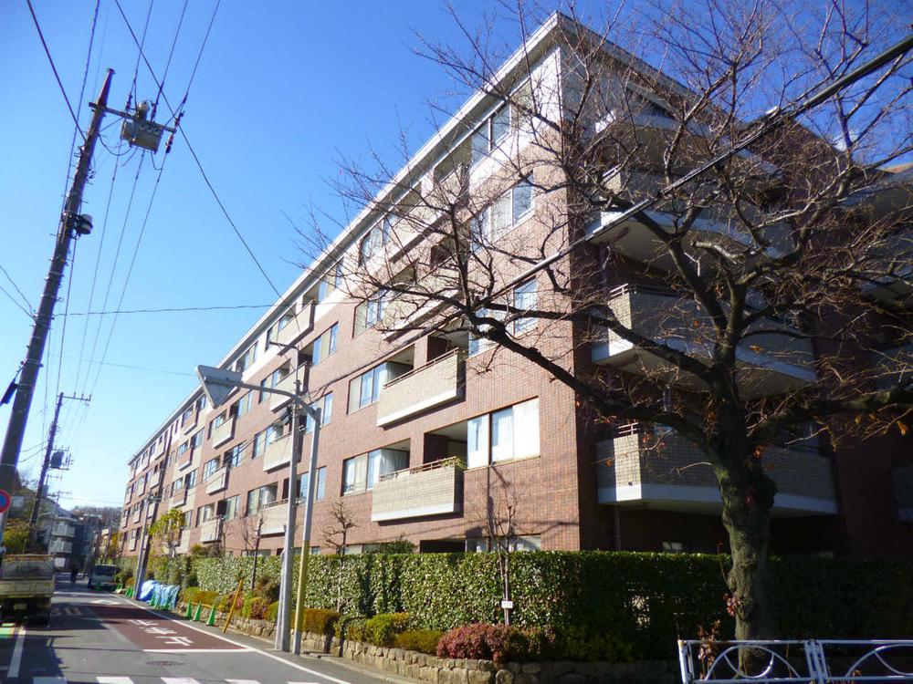 Local appearance photo