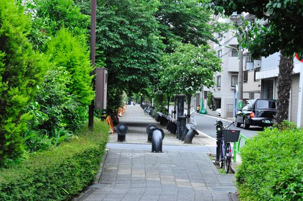 Other. Jakuzure River green road