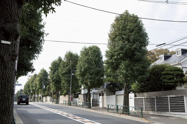 In the vicinity of local streets (about 200m ・ A 3-minute walk)