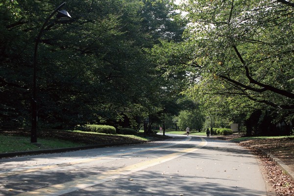 Komazawa Olympic Park (about 900m ・ A 12-minute walk)